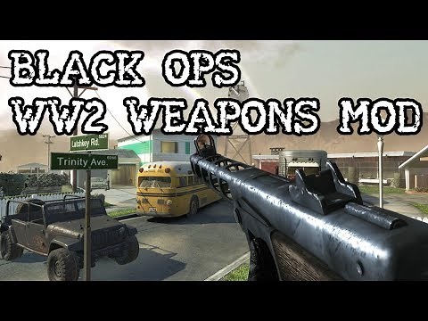 Black Ops 1: WW2 MP Weapons Mod