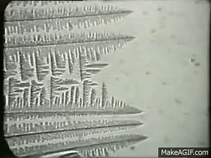 Dendritic Solidification on Make a GIF