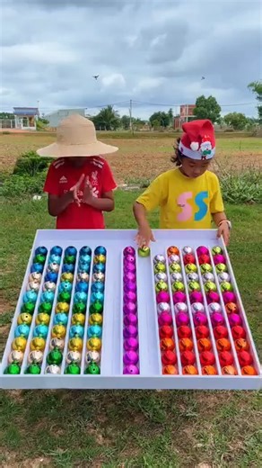 who win | Family Games