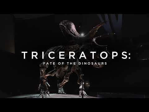 Triceratops Exhibition - Melbourne Museum