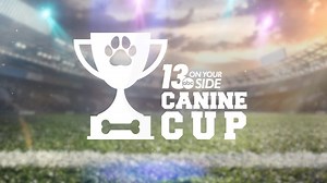 A big dose of cuteness returns for Canine Cup 2022