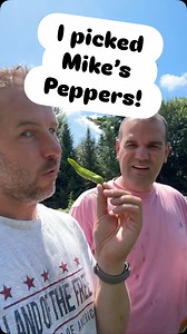 I love Shishido peppers!!! Because of this, Mike planted them in the garden the last couple of years. Every time we post about them people ask how we cook them so here is a quick tutorial of what we do when we get them back to the house…. I guess I should say what MIKE does when HE gets them back to the house… 😂😂😂 Enjoy! #FluffyFeatherFarm #ShishidoPeppers #Cooking #MarriedLife #FarmLife #Appetizer | Fluffy Feather Farm
