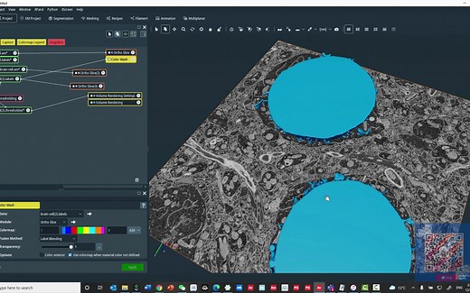 【Avizo Amira培训练习】 使用分水岭Watershed分割方法把细胞器分割