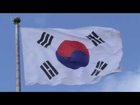 태극기 - 국기에 대한 맹세 / 국기에 대해 경례 4K 행사용