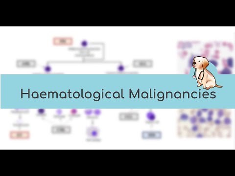 HAEMTEAM: Haematological Malignancies 😈