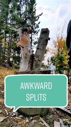 Fun with Awkward Logs: Splitting Wood Fails