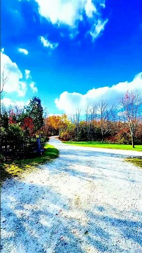 Calm Neutral Video | Stress-Free & Soothing