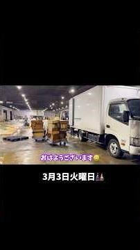 This morning's fish market catch report for Tuesday, March 3rd 🎎#shorts