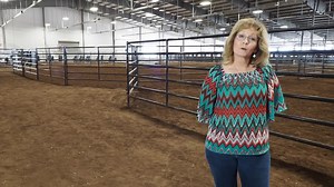 Priefert Complex Designs, LLC (PCD) was founded to provide sound, practical design services for livestock-related projects, to offer solutions before complex issues became a problem. Our staff has over 50 years of combined experience in building design and construction management. Our services include master planning, project coordination, budgeting, and structural and architectural engineering. Utilizing resources from our parent company, we are also uniquely qualified to offer livestock consul