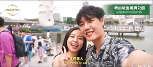 Forest City SFZ on TikTok