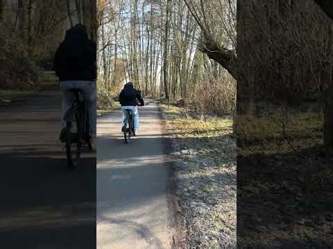 Peaceful Winter Walk ❄️ Frozen River & Snowy Landscape | 5 Minutes of Calm