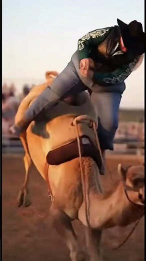 Cowgirl rides CAMEL in rodeo championship!!