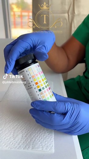 Here’s how you perform a Urinalysis, one of the most common tests ran in the lab! I hope you enjoy learning as you watch this video just as much as we’ve enjoyed making it☺️ with love, from The Phlebotomy Mastery Institute #pmi #nassaubahamas #phlebotomy #urinalysis #bahamiantiktok