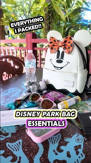 Disney Park Bag ✨Essentials✨(What to Bring to Disney World)