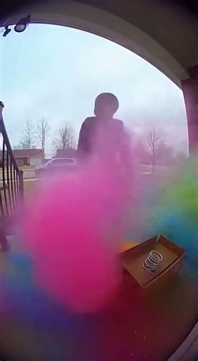 Paint Bomb Explodes On Package Thief