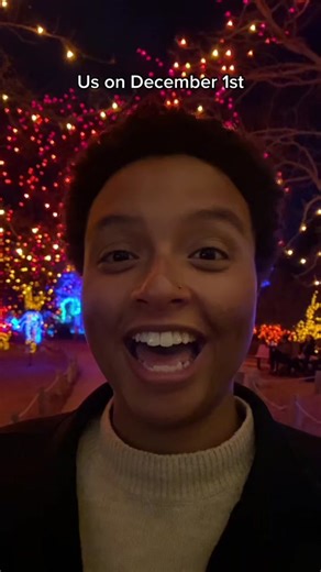 Denver Zoo Lights: A Magical Holiday Experience!