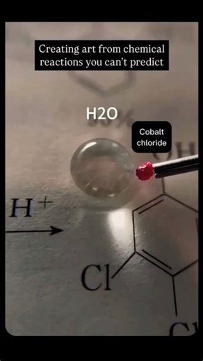 ✨When chemistry becomes art🧪#sciencefacts #chemistrymagic #chemicalreaction #quickscience#cet #fypシ