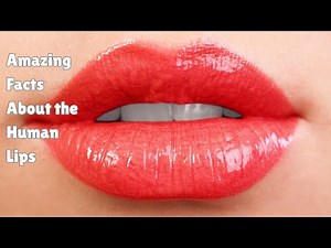 10 Mind-blowing facts about our lips