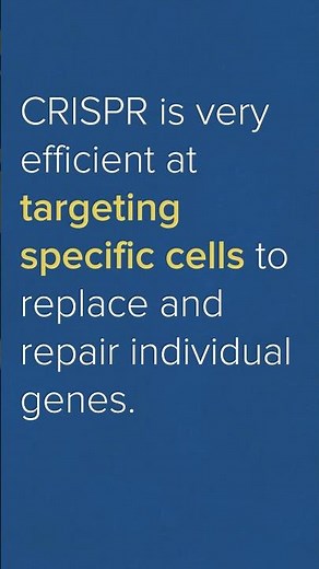 Gene Editing - A Basic Explanation