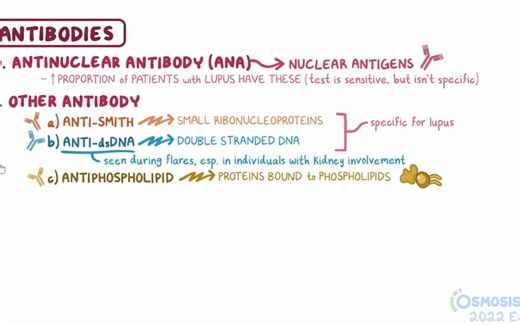 Systemic lupus erythematosus (SLE): Clinical practice
