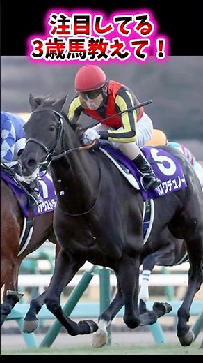Tell us which 3-year-old horses you're paying attention to! [Horse Racing Reactions]
