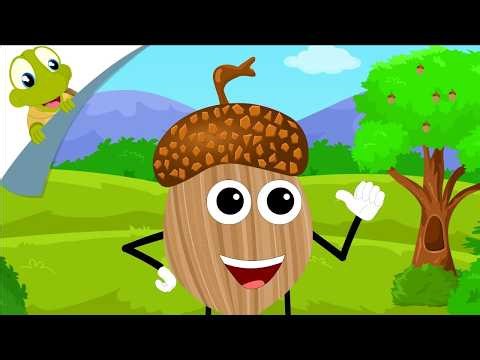 I Am A Nut Song 2026 | CoComelon Nursery Rhymes | Cartoons for Babies | New Nursery Rhyme Songs 2026