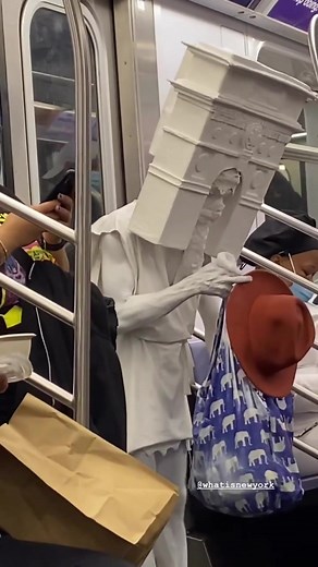 SubwayCreatures on TikTok