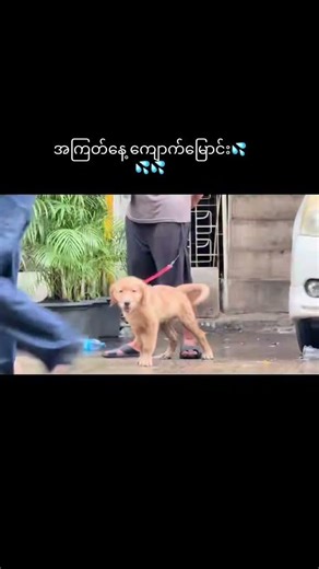 အတက်နေ့မရောက်ချင် #yathaw #tiktokviral #အတက်နေ့မရောက်ချင် #thingyan #waterfestival