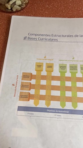 Planificación de Objetivos Transversales en Educación Preescolar