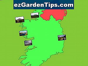 Classification des plantes pour les enfants 🌱 Conseils Jardiniers - Fr.ezGardenTips.com