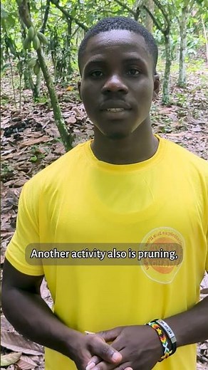 Cocoa harvest has an off-season—but farmers don’t!