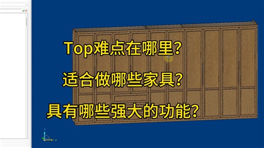 Topsolid'Wood难点在哪里？适合做哪些家具？具有哪些强大的功能？