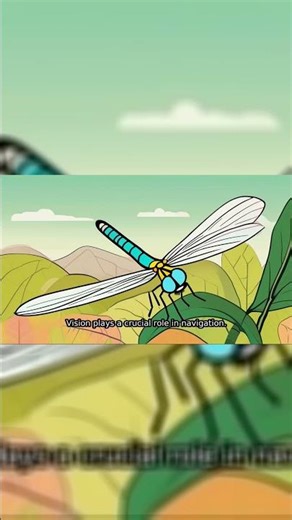 The Intricacies of Insect Navigation