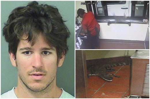 Video shows man throwing live gator through drive-thru window