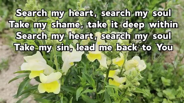 100K views · 2.9K reactions | Search My Heart www.LifebreakthroughMusic.com Support Lifebreakthrough / Buy Music https://lifebreakthroughmusic.com/ Spotify: https://open.spotify.com/artist/5DJKE... Itunes: https://music.apple.com/gb/artist/lif... AppleMusic: https://music.apple.com/gb/artist/lif... Facebook: https://www.facebook.com/CordilleraMu... | Cordillera Music & Arts | Facebook