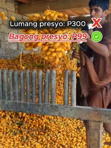 Magkakaroon ng 60% na diskwento para sa unang 20 na tao na mag-oorder ngayong araw. #healthyliving #healthyfood #dates #drieddates #health