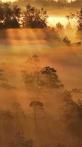 The Secret of the Four Elements