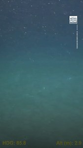 63K views · 200 reactions | New video shown at the U.S. Coast Guard’s hearing into the Titan submersible implosion gives a clearer look at the wreckage on the floor of the North Atlantic Ocean. MORE: https://buff.ly/3B95fJ0 | Hawaii News Now | Facebook