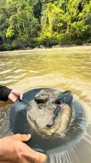 gold prospecting 2026, gold prospecting for beginners