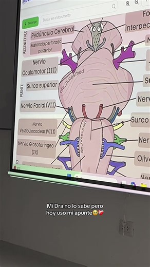 Dra. utiliza mi apunte en clase por primera vez