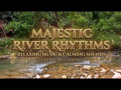 Peaceful Forest Stream | Stress Relief Music That Actually Works