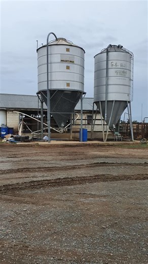 Cleaning the inside of your silo keeps it running at its best below are 6 easy steps to get the inside of your silo squeaky clean 📱Notify Rex James Stockfeed team of your planned silo clean, to coordinate your feed delivery to ensure you're never out of feed ✅️ Ensure silo is empty ✅️Remove the base of the silo ✅️ Use a high pressure hose to remove any product build up ✅️ Until water runs clear ✅️Leave top and base of silo open until dry 🌟For best results complete every 3-6 months | Rex James 