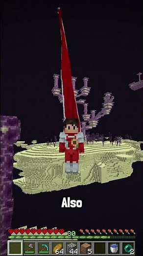 Superheld im End #minecraft #caravas #challenge