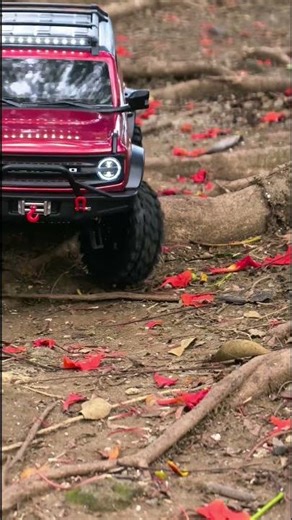 Can The WLtoys 104020 Defeat This Rooty RC Trail?