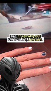 2.6M views · 71K reactions | Los ESCARABAJOS NO VUELAN, LEVITAN. ⚠️ #tecnologiaavanzada #escarabajos #egipcios #alien #extraterrestres | Aliens y Conspiración | Facebook