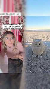 Solo io vivevo in una casa di mer*a?💩#mammaefiglia#nonsitoccaècacca#iodapiccola#cosepericolose