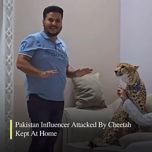8.4M views · 8.9K reactions | Recently, a video of a cheetah hitting...