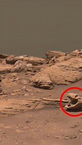 274K views · 2.7K reactions | Newest footage of Mars just released by NASA. 140 million miles away from us! | Echoes of Unbound Curiosity | Facebook