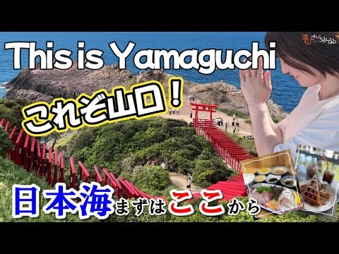 【日本海】山口県で遊ぶ！迷ったらココのドライブ3箇所 #山口県観光#元乃隅神社 #千畳敷#道の駅