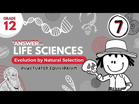GR 12 EVOLUTION BY NATURAL SELECTION – Punctuated Equilibrium #7